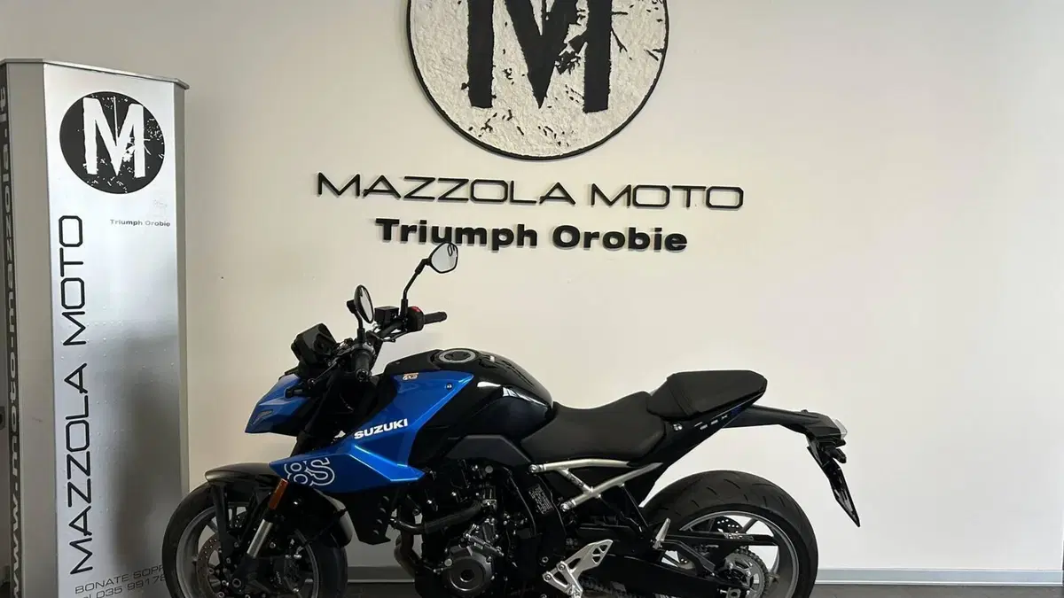Suzuki GSX-8S (2025 - 26)  (3)
