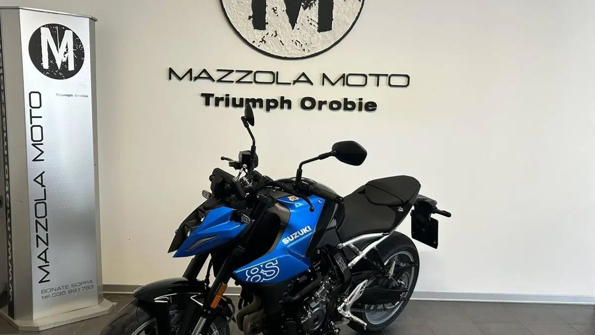 Suzuki GSX-8S (2025 - 26)  (4)