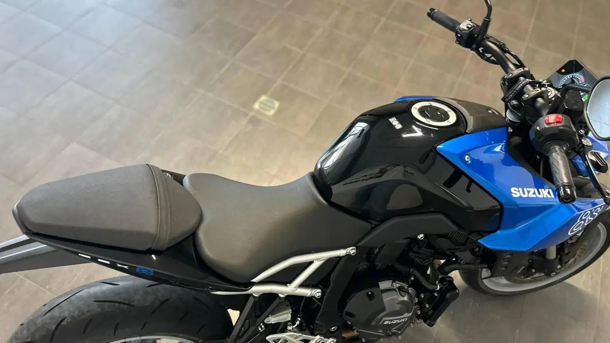 Suzuki GSX-8S (2025 - 26)  (8)