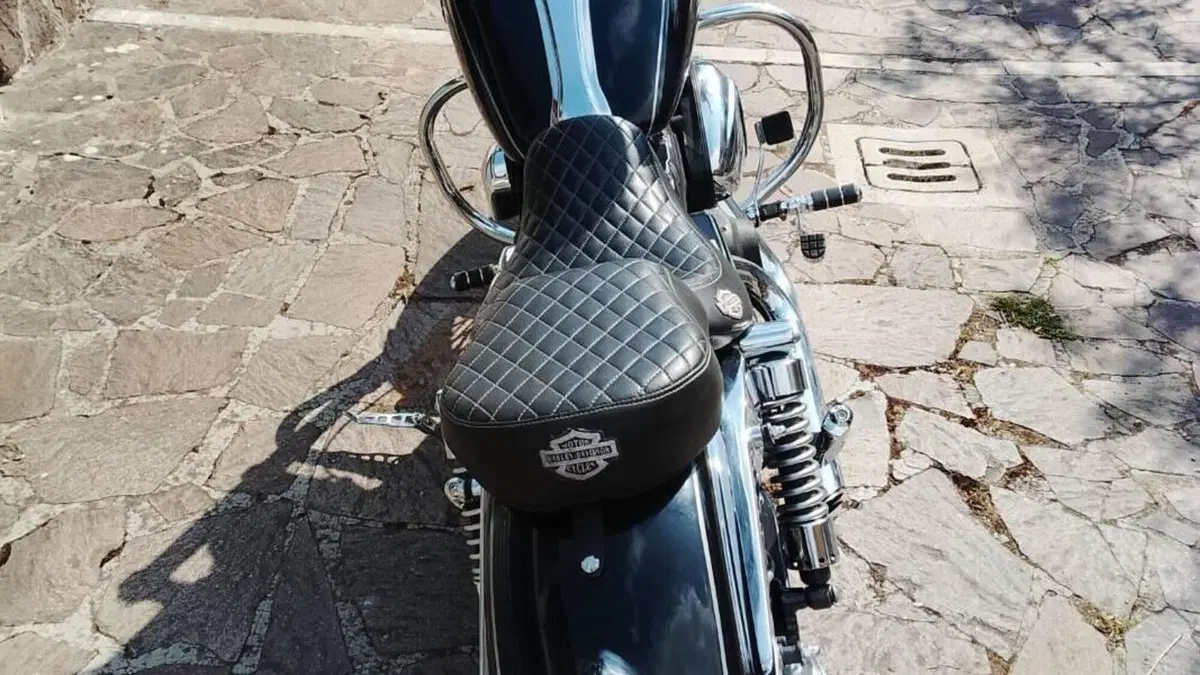 Harley-Davidson 1584 Wide Glide (2007 - 11) - FXDWG  (2)