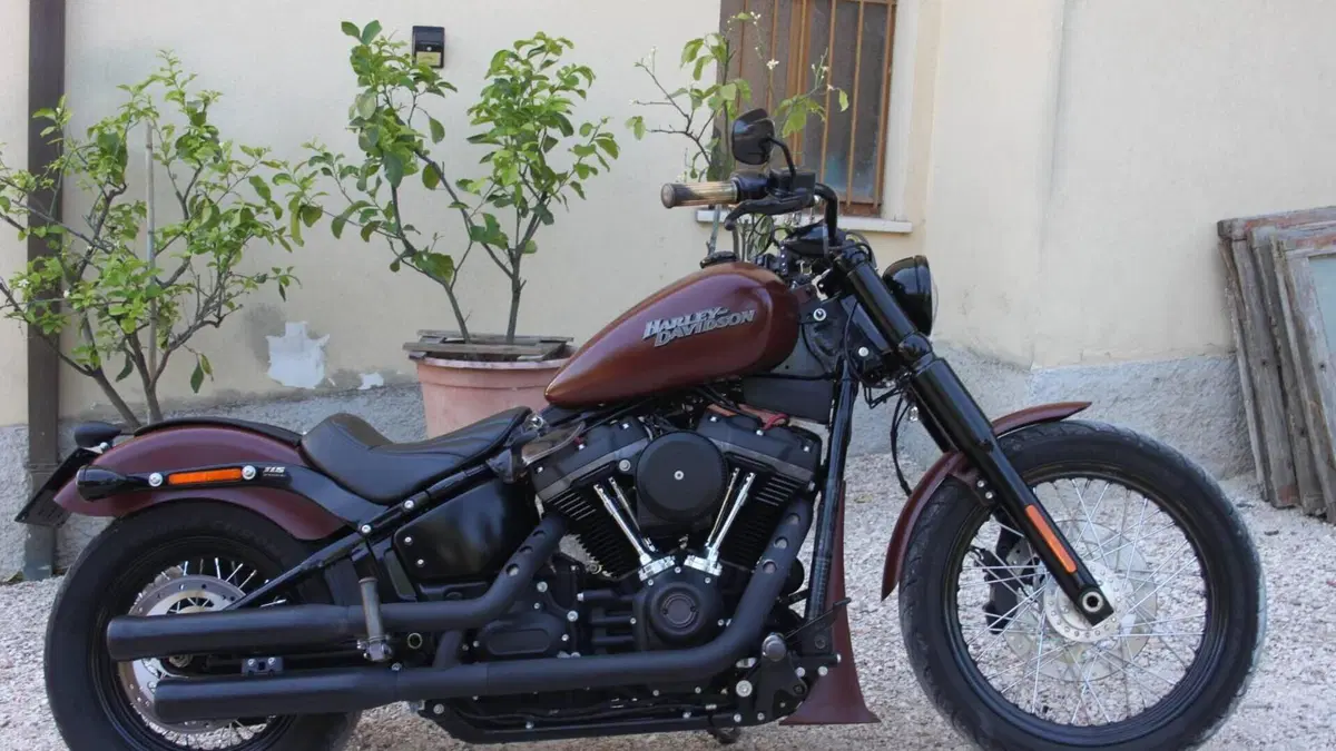 Harley-Davidson 107 Street Bob (2018 - 20) - FXBB  (2)