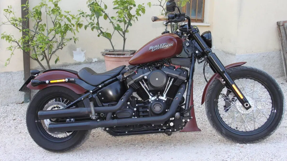 Harley-Davidson 107 Street Bob (2018 - 20) - FXBB  (3)