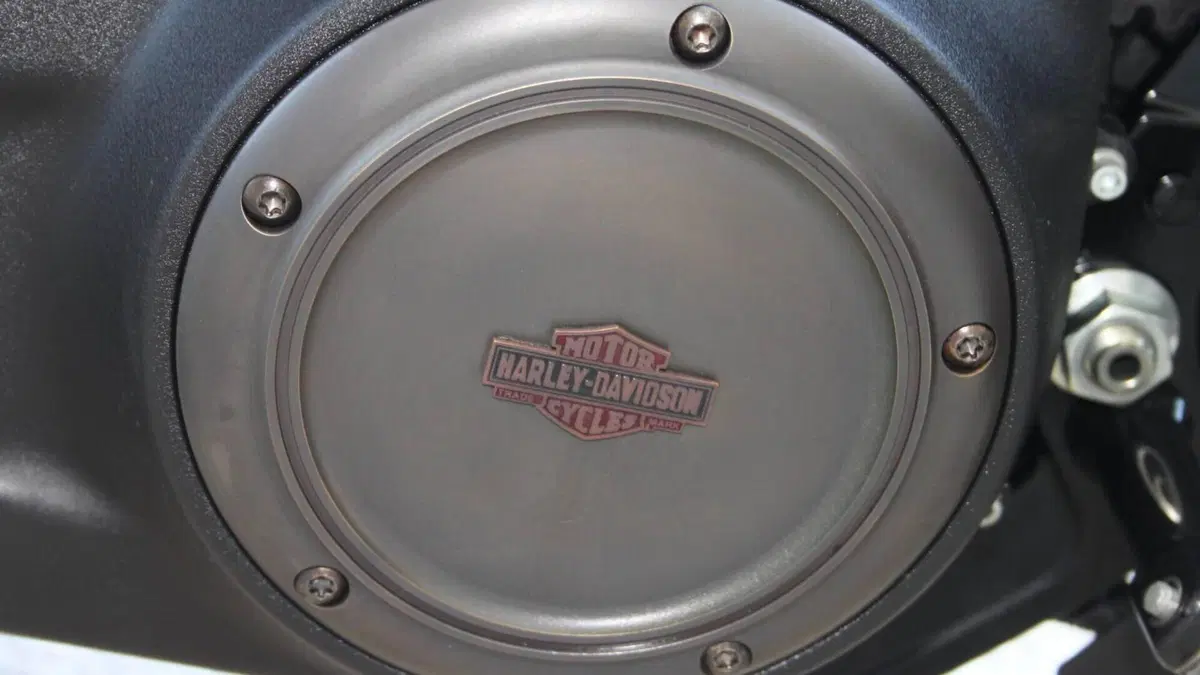 Harley-Davidson 107 Street Bob (2018 - 20) - FXBB  (7)