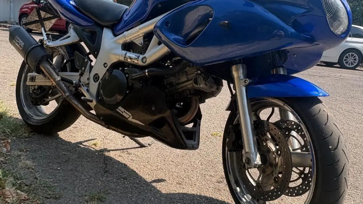 Suzuki SV 650 S (1999 - 02)  (5)