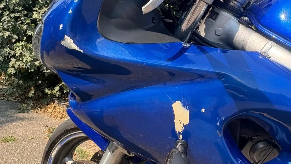 Suzuki SV 650 S (1999 - 02)  (7)