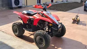Polaris Trail Blazer 330 E 2x4 (2007 - 13)  (4)