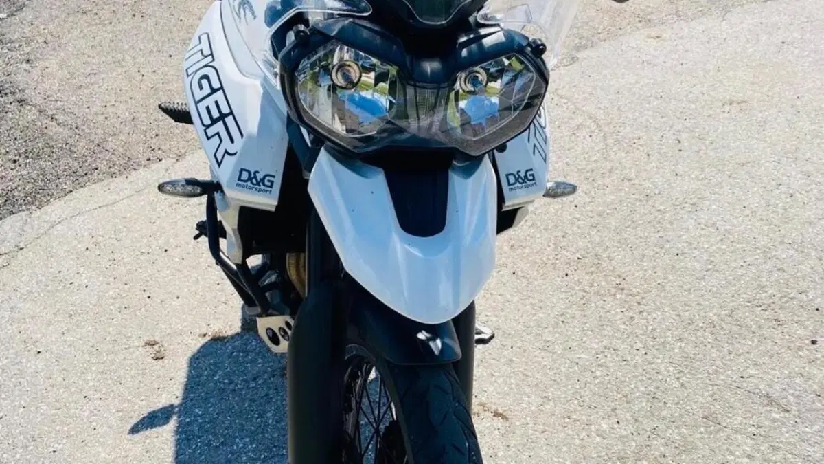 Triumph Tiger 800 XCx (2018 - 20)  (4)