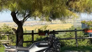 Husqvarna Svartpilen 401 (2021 - 23)  (4)