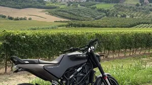 Husqvarna Svartpilen 401 (2021 - 23)  (6)