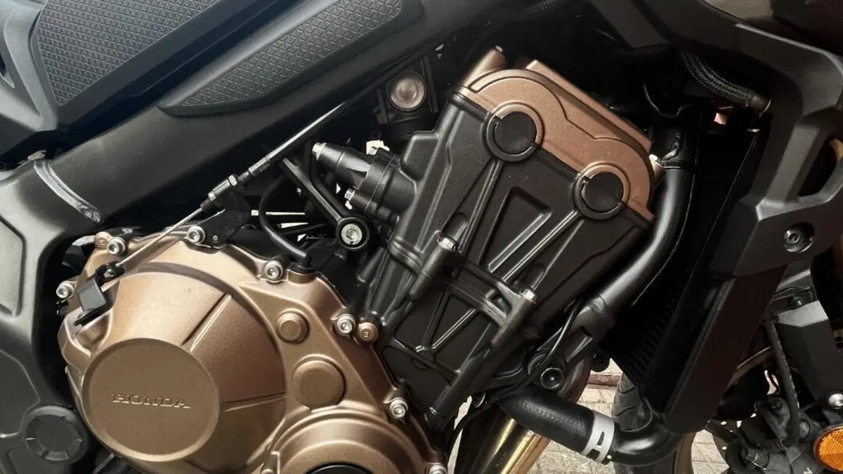 Honda CB 650 R (2019 - 20)  (13)