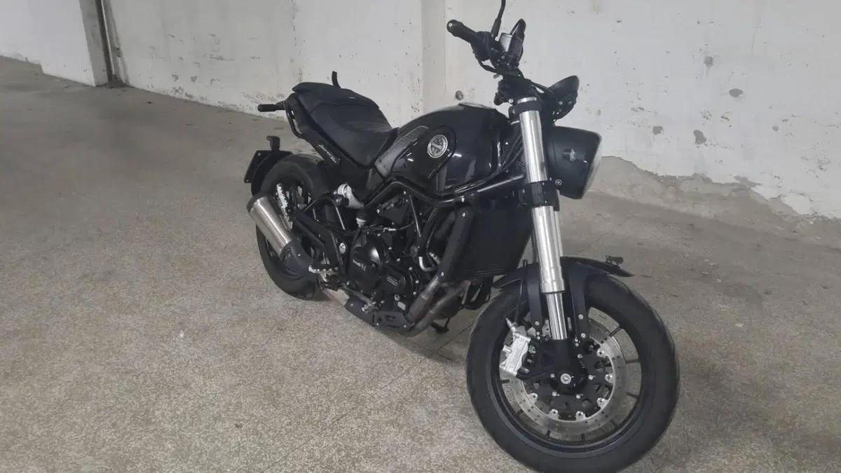 Benelli Leoncino 500 (2021 - 25)  (2)
