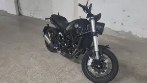 Benelli Leoncino 500 (2021 - 25)  (2)