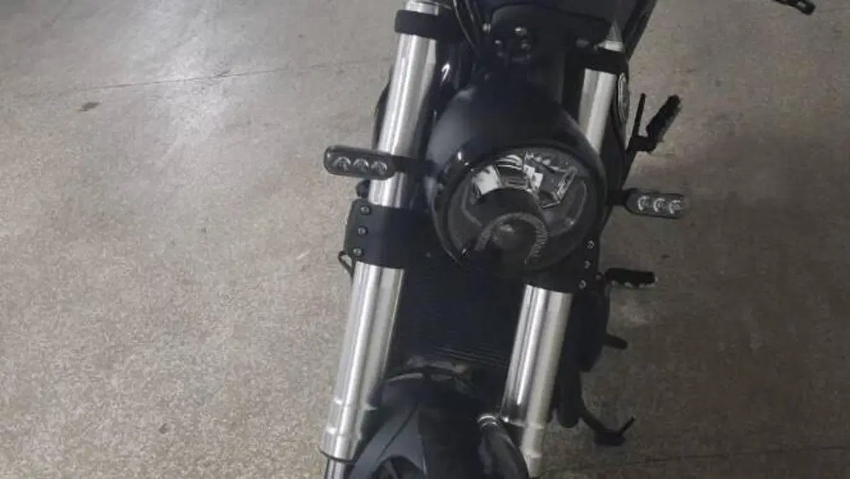 Benelli Leoncino 500 (2021 - 25)  (3)