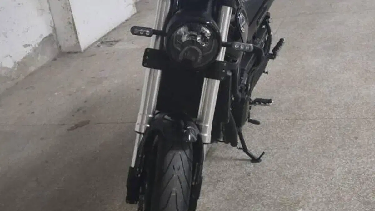 Benelli Leoncino 500 (2021 - 25)  (4)