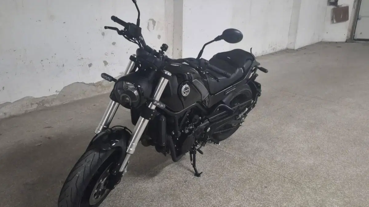 Benelli Leoncino 500 (2021 - 25)  (5)