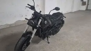 Benelli Leoncino 500 (2021 - 25)  (5)