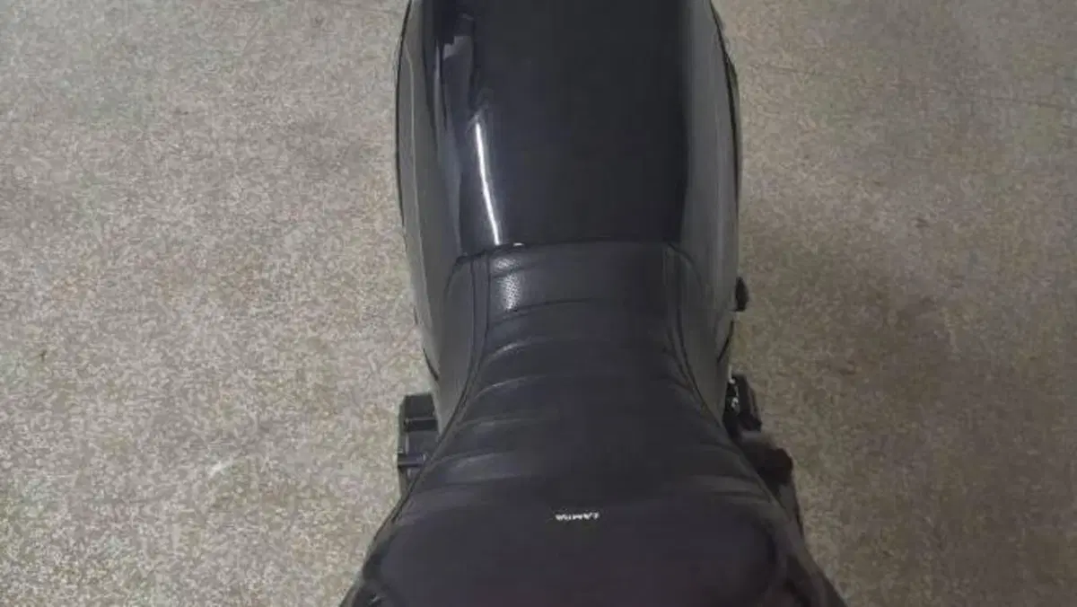 Benelli Leoncino 500 (2021 - 25)  (7)