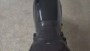 Benelli Leoncino 500 (2021 - 25)  (7)
