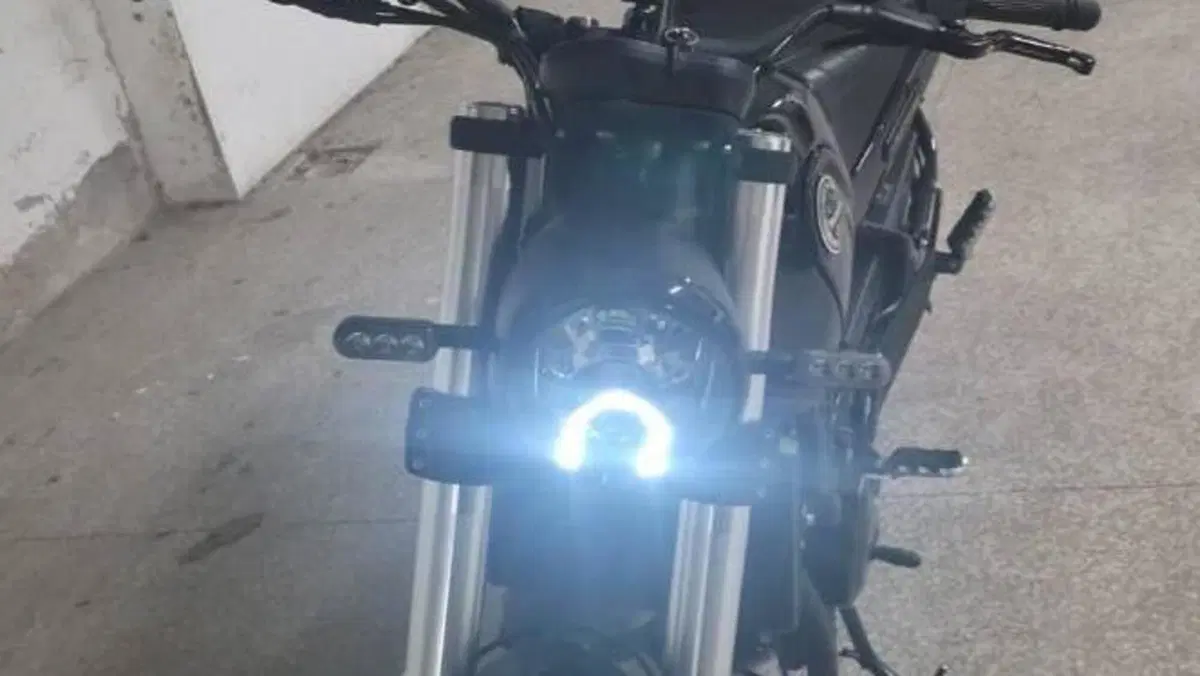 Benelli Leoncino 500 (2021 - 25)  (8)