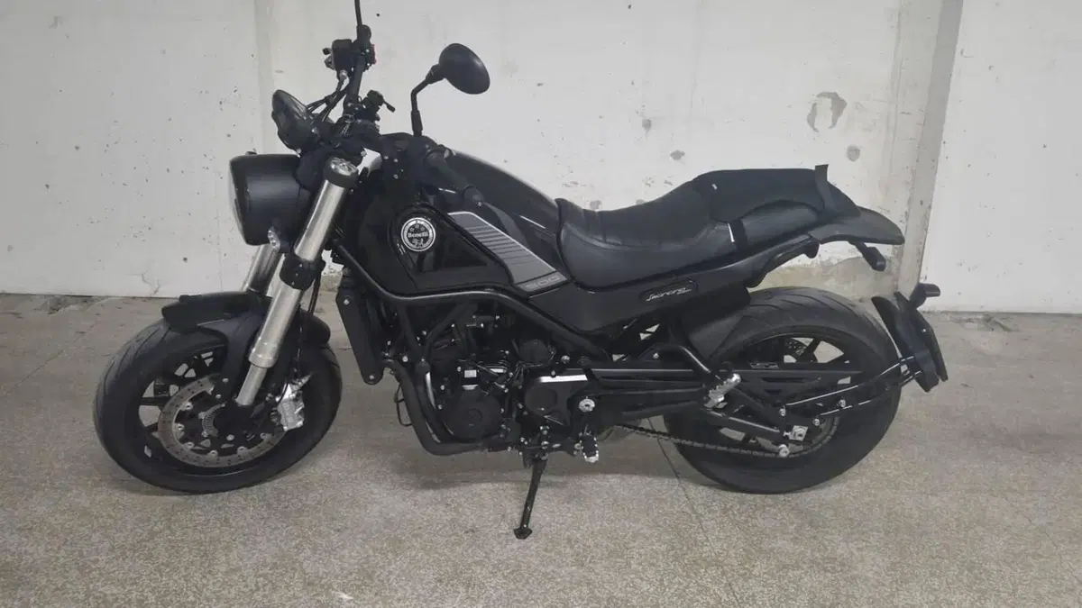 Benelli Leoncino 500 (2021 - 25)  (9)