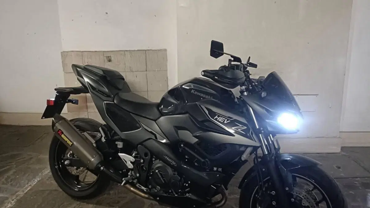 Kawasaki Z7 Hybrid (2024 - 26)  (4)