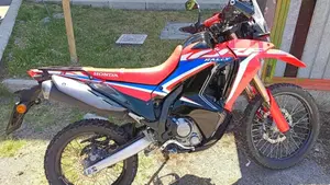 Honda CRF 300 Rally (2021 - 24)  (5)