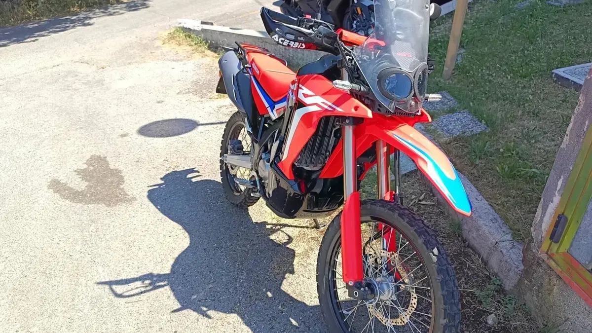 Honda CRF 300 Rally (2021 - 24)  (6)