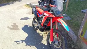 Honda CRF 300 Rally (2021 - 24)  (6)
