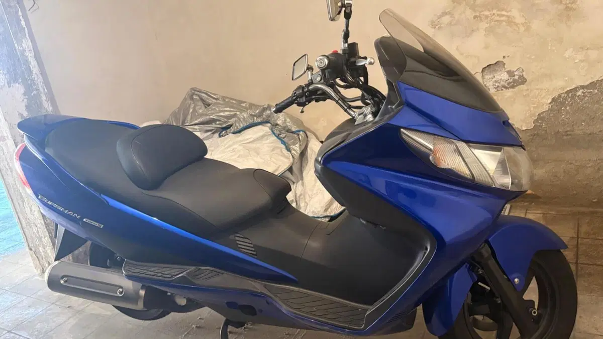 Suzuki Burgman AN 400 Type S (2005 - 06)  (6)