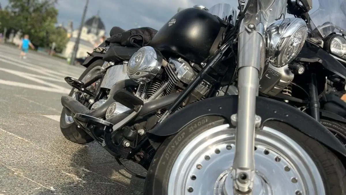 Harley-Davidson 1584 Fat Boy (2008 - 10) - FLSTF  (5)