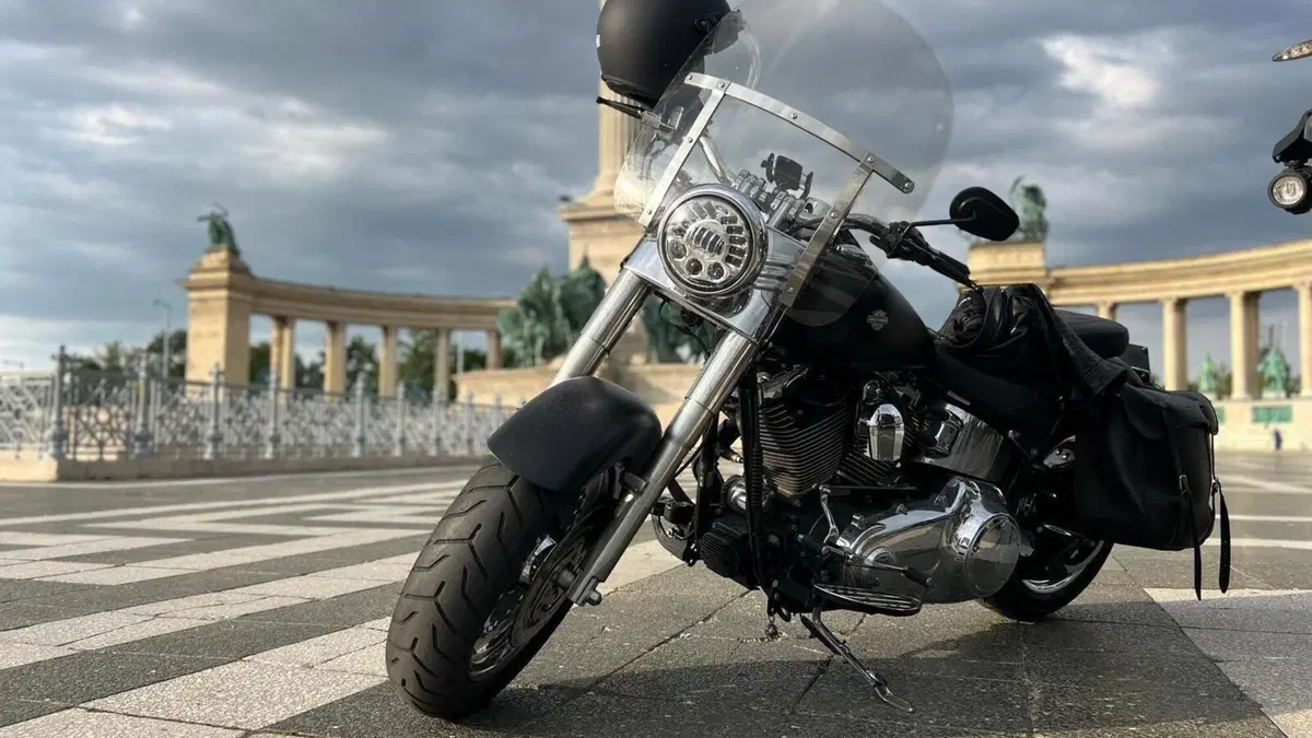Harley-Davidson 1584 Fat Boy (2008 - 10) - FLSTF  (6)
