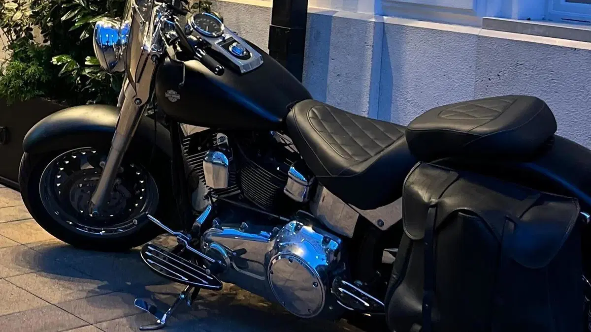 Harley-Davidson 1584 Fat Boy (2008 - 10) - FLSTF  (7)