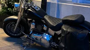 Harley-Davidson 1584 Fat Boy (2008 - 10) - FLSTF  (7)