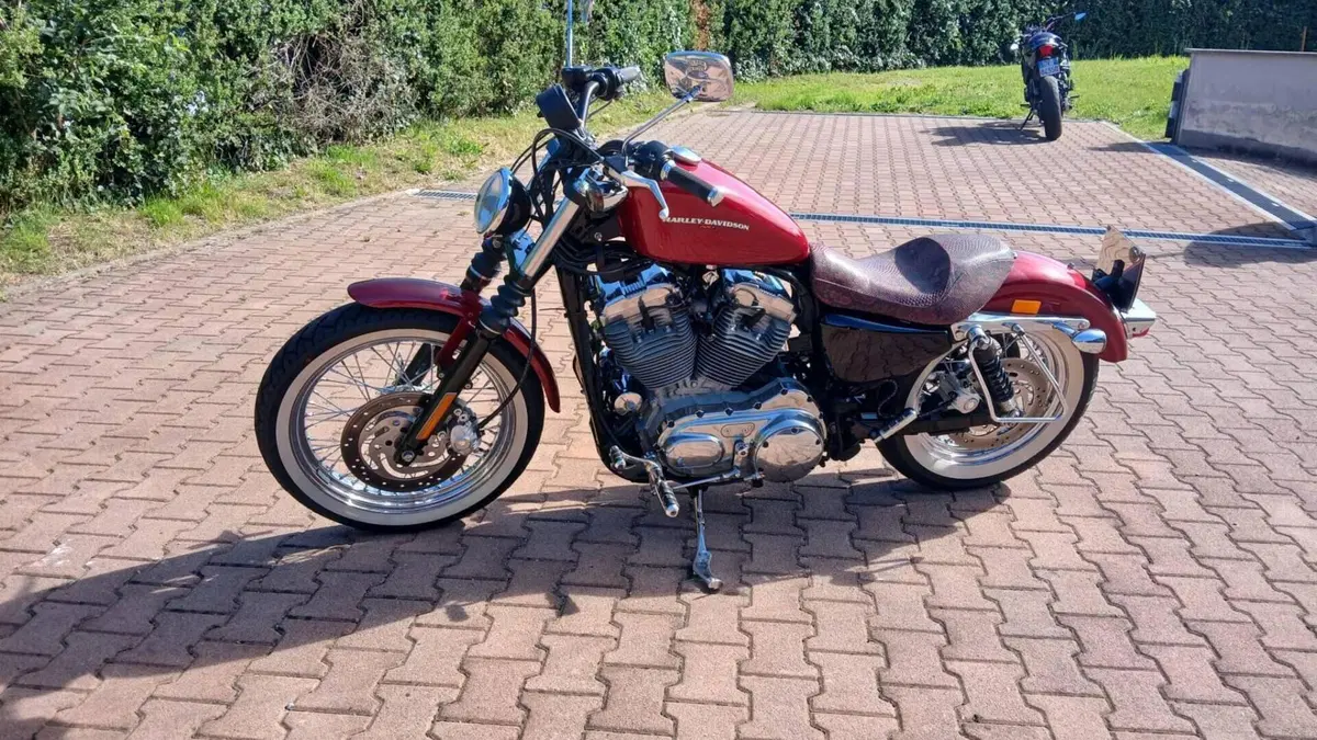 Harley-Davidson 883 Custom (2006 - 07) - XL 883C  (4)