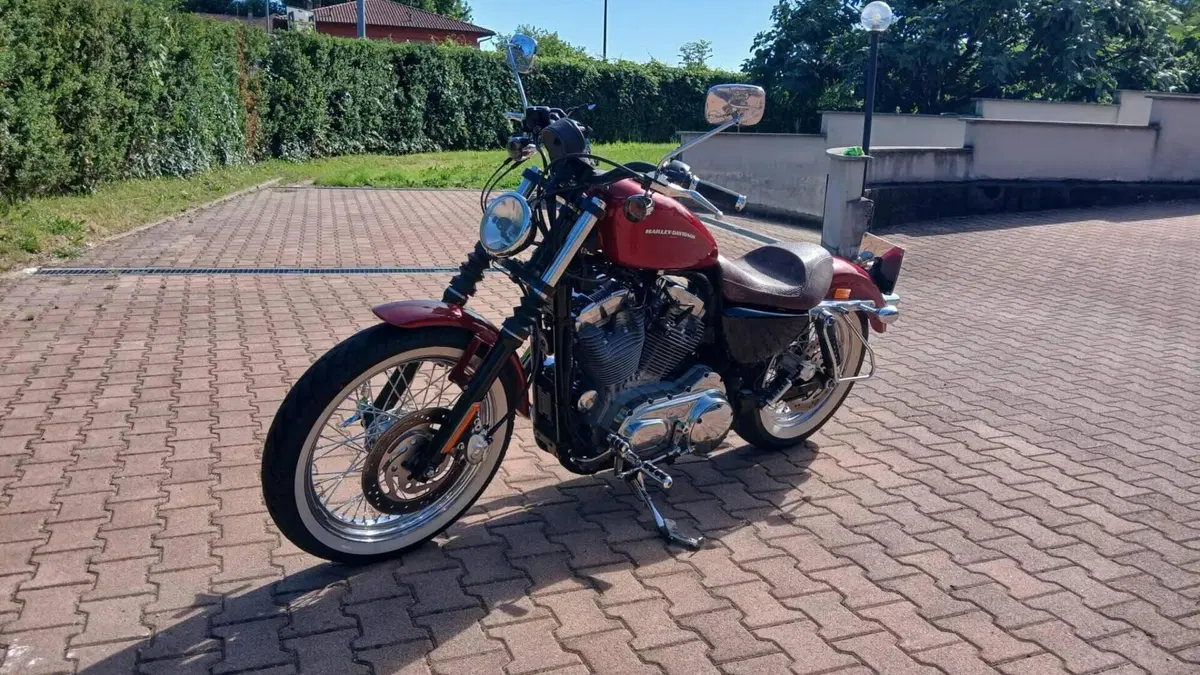 Harley-Davidson 883 Custom (2006 - 07) - XL 883C  (2)