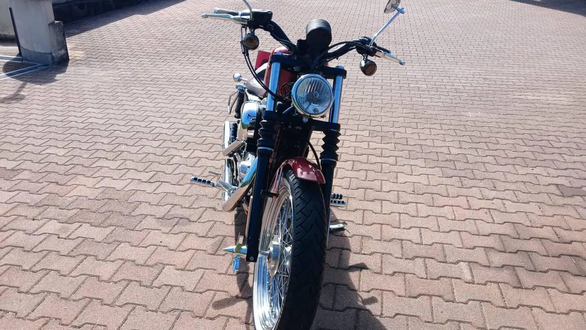 Harley-Davidson 883 Custom (2006 - 07) - XL 883C  (5)