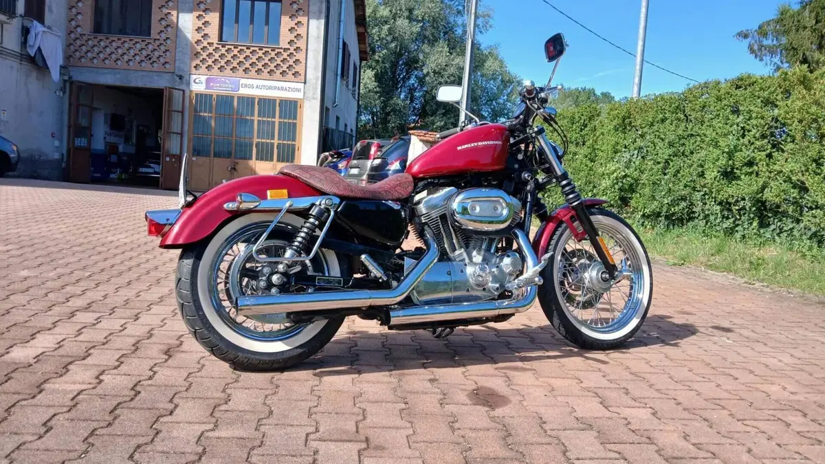 Harley-Davidson 883 Custom (2006 - 07) - XL 883C  (6)
