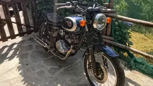 Kawasaki W 230 (2025 - 26)  (5)