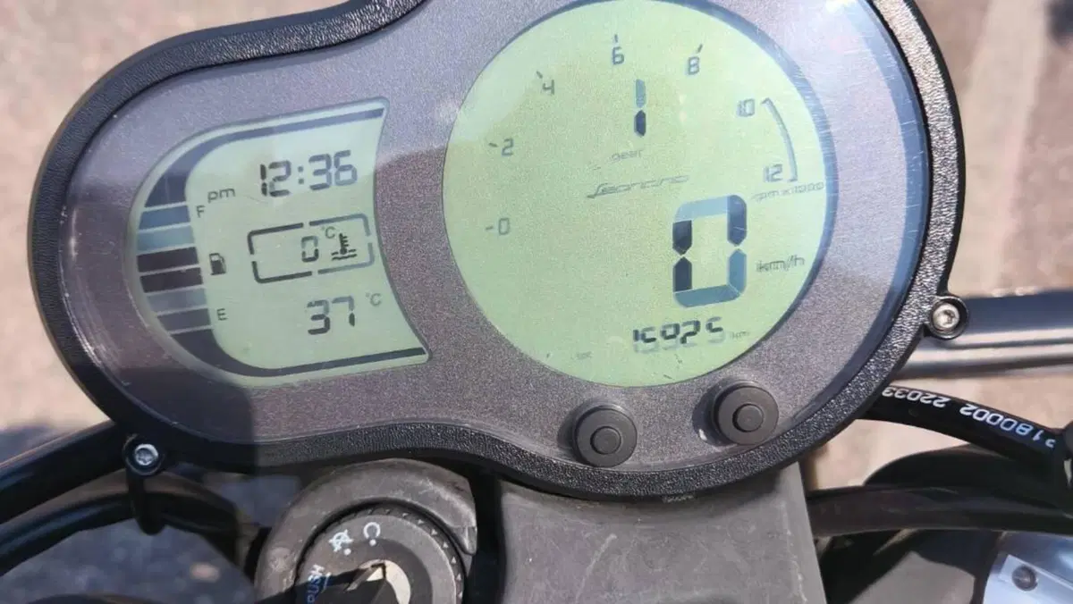Benelli Leoncino 500 Trail (2021 - 26)  (5)