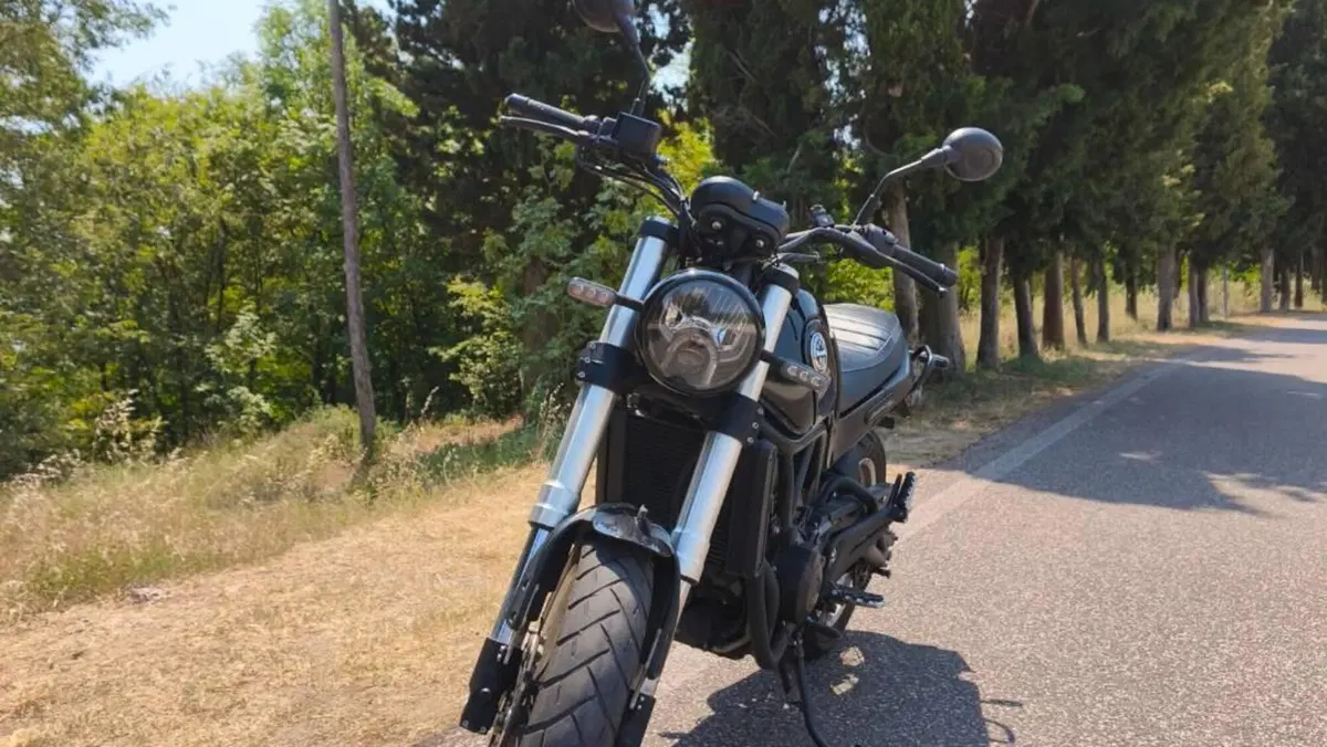 Benelli Leoncino 500 Trail (2021 - 26)  (6)