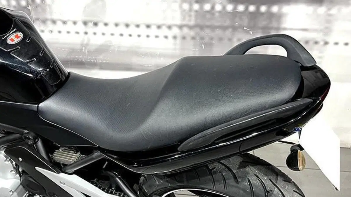 Kawasaki ER-6N (2005 - 08)  (5)
