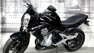Kawasaki ER-6N (2005 - 08)  (7)