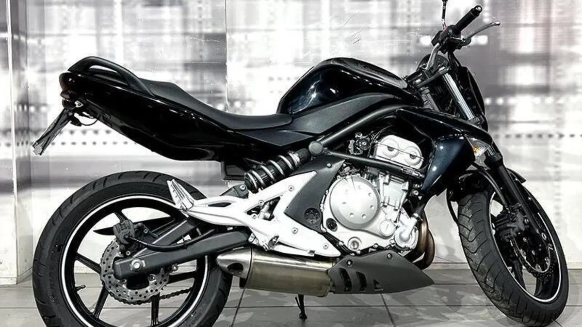 Kawasaki ER-6N (2005 - 08)  (8)