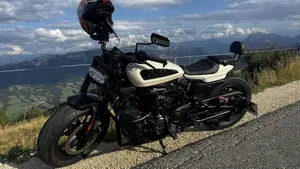 Harley-Davidson 1200 Custom (2018 - 20) - XL1200C  (2)