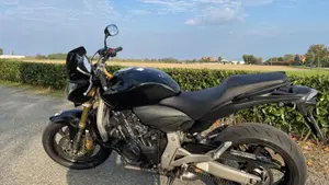 Honda Hornet 600 (2007 - 10)  (9)