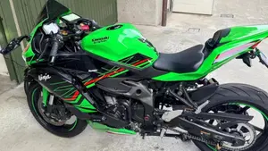 Kawasaki Ninja ZX-4RR (2024 - 26)  (2)