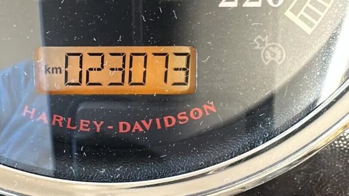 Harley-Davidson 107 Fat Boy (2017 - 20) - FLFB  (11)