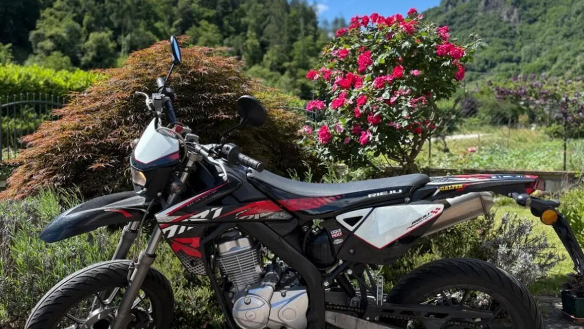 Rieju Marathon 125 Motard Pro (2017 - 20)  (3)