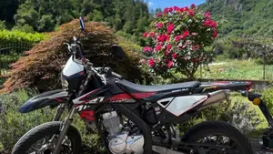 Rieju Marathon 125 Motard Pro (2017 - 20)  (3)