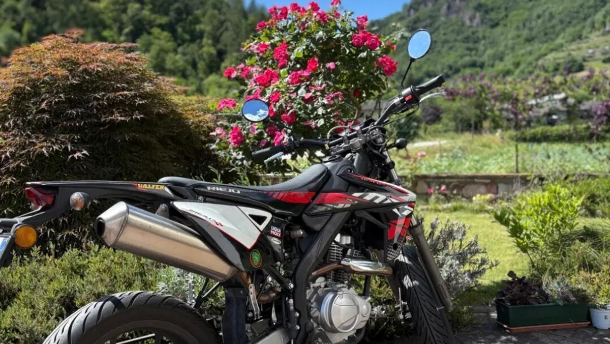 Rieju Marathon 125 Motard Pro (2017 - 20)  (4)